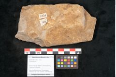 Foto (Objekt + Etikett) von Cyclocarpus sp.  (NHMW-GEO-2024-0188-11154)